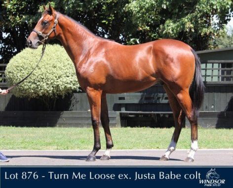 Turn Me Loose X Justa Babe Colt